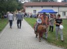 europadasielubicbiesiadawedworze