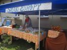 europadasielubicbiesiadawedworze
